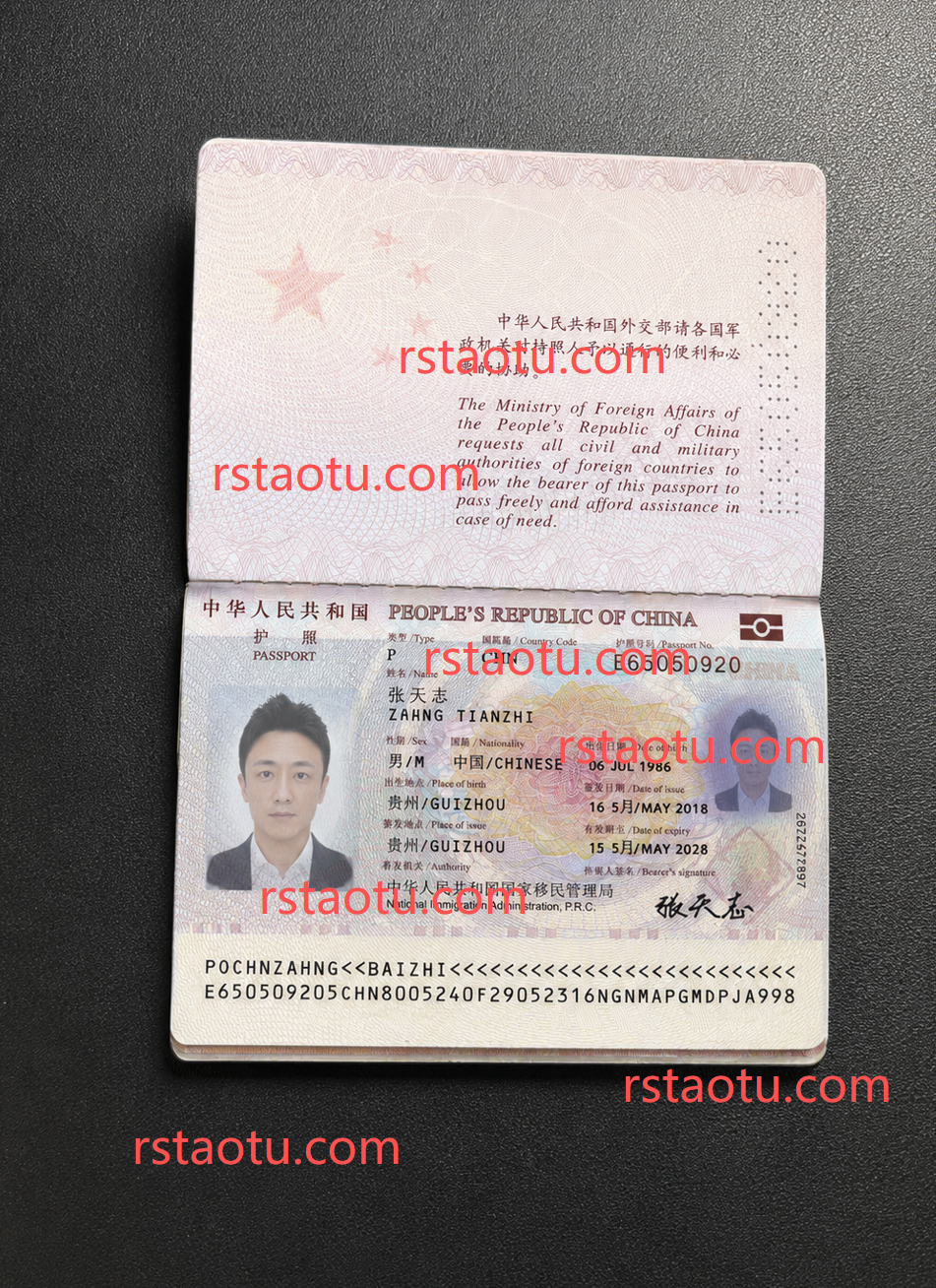 护照示例